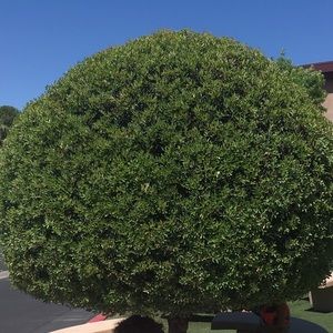 Meet your Posher, Zach